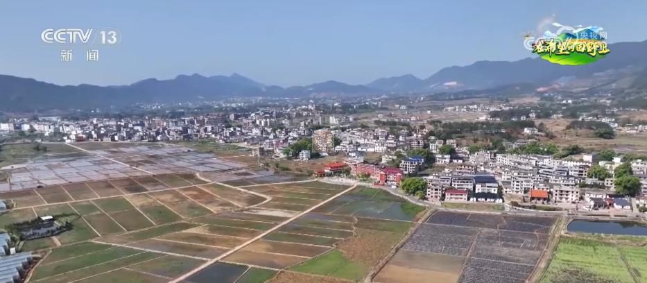 AI模型、“北斗”、物联网……智慧农业成为田间地头新常态(图13) AI模型、“北斗”、物联网……智慧农业成为田间地头新常态(图13)