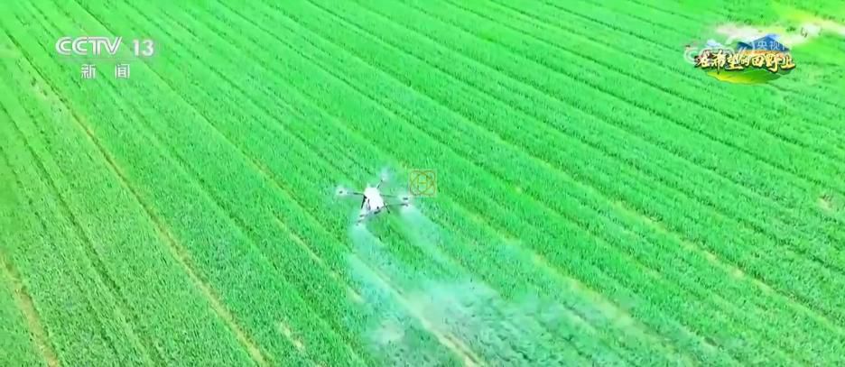 AI模型、“北斗”、物联网……智慧农业成为田间地头新常态(图14) AI模型、“北斗”、物联网……智慧农业成为田间地头新常态(图14)